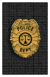 DF35T 419 Police Department